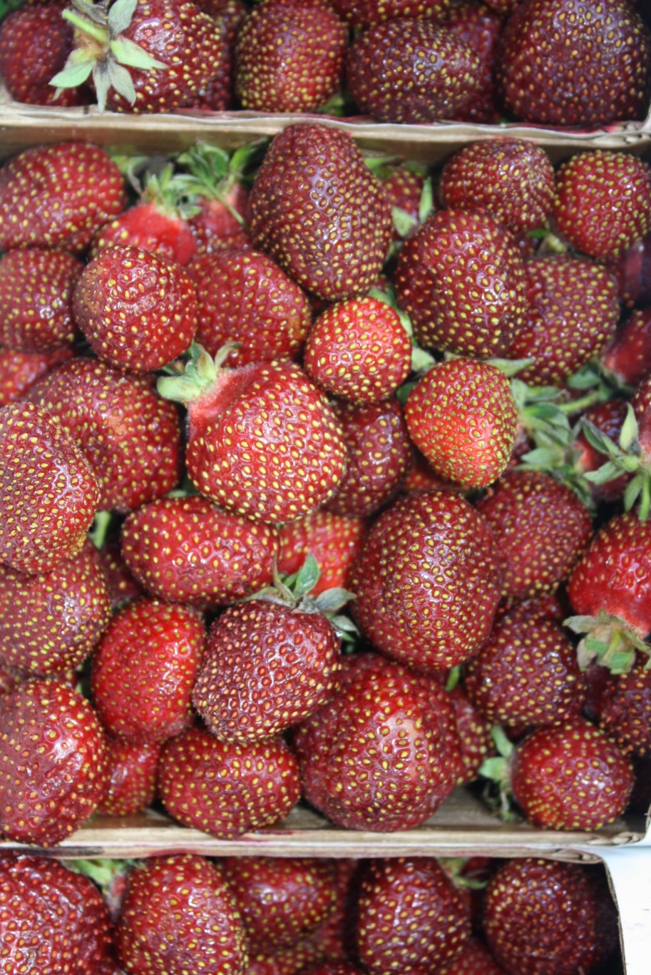 Strawberry Freezer Jam