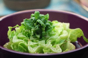 romaine