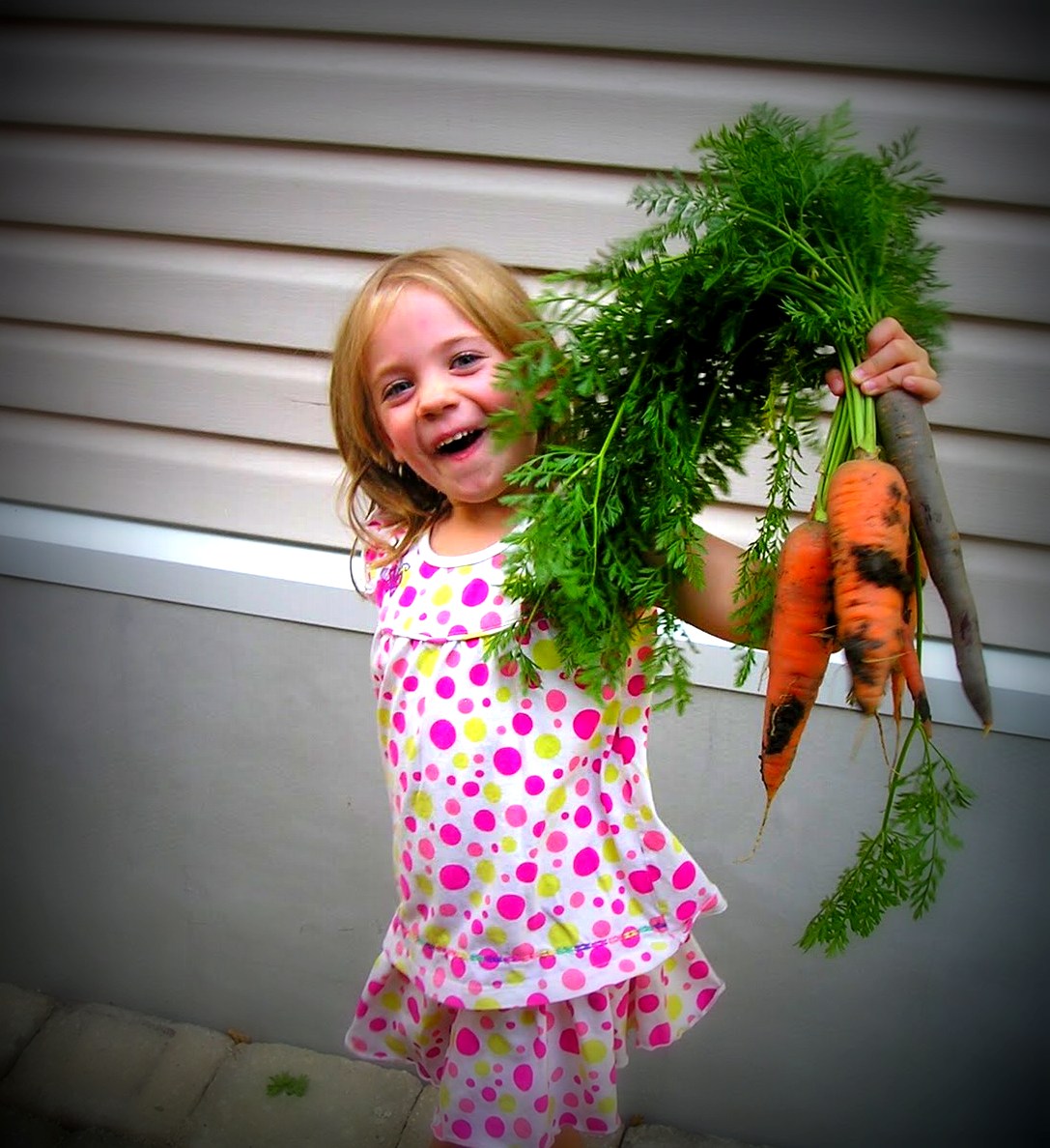 Seeding Carrots
