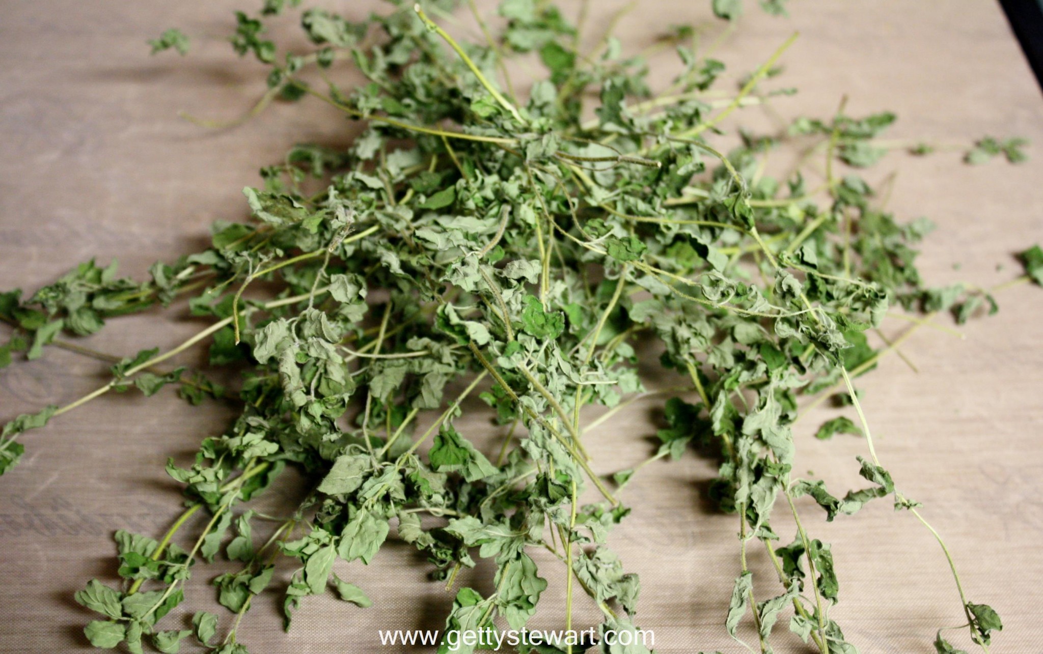 How to Cut and Dry Oregano - Getty Stewart