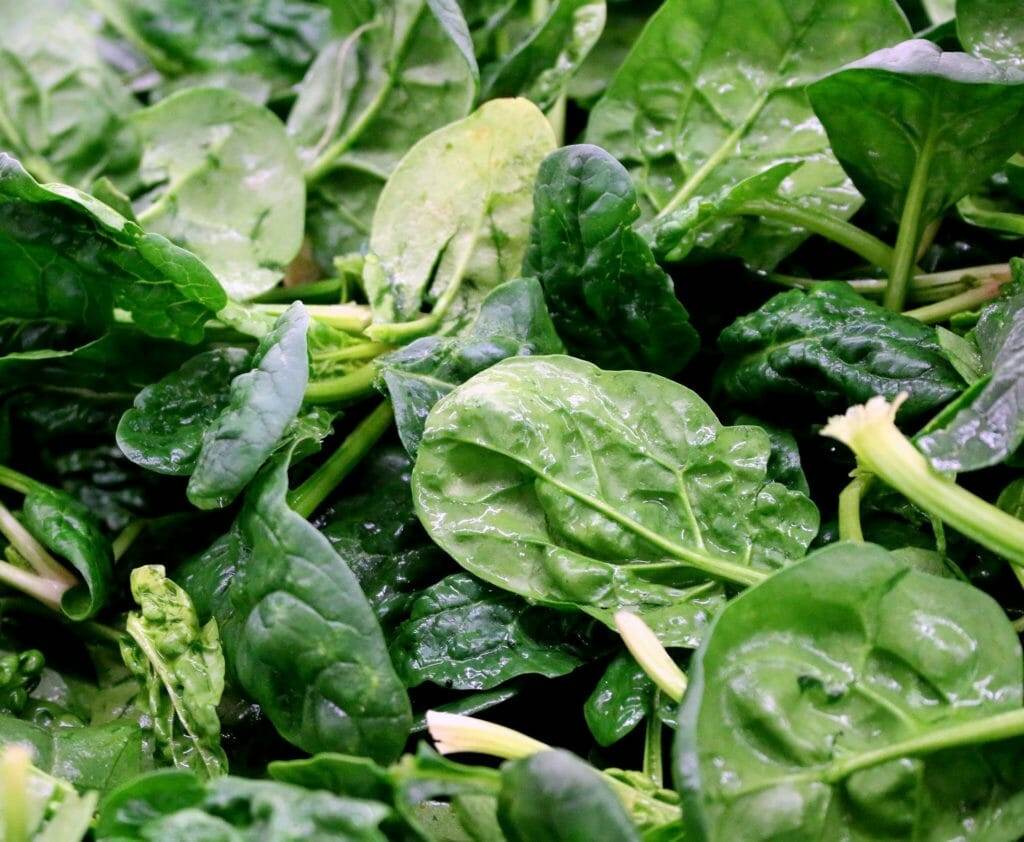 How to Select, Store and Use Fresh Spinach