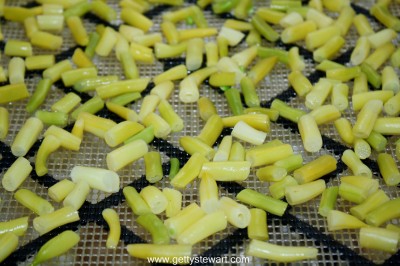 spread beans on dehydrator