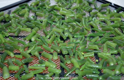 royal burgundy beans turn green when cooked