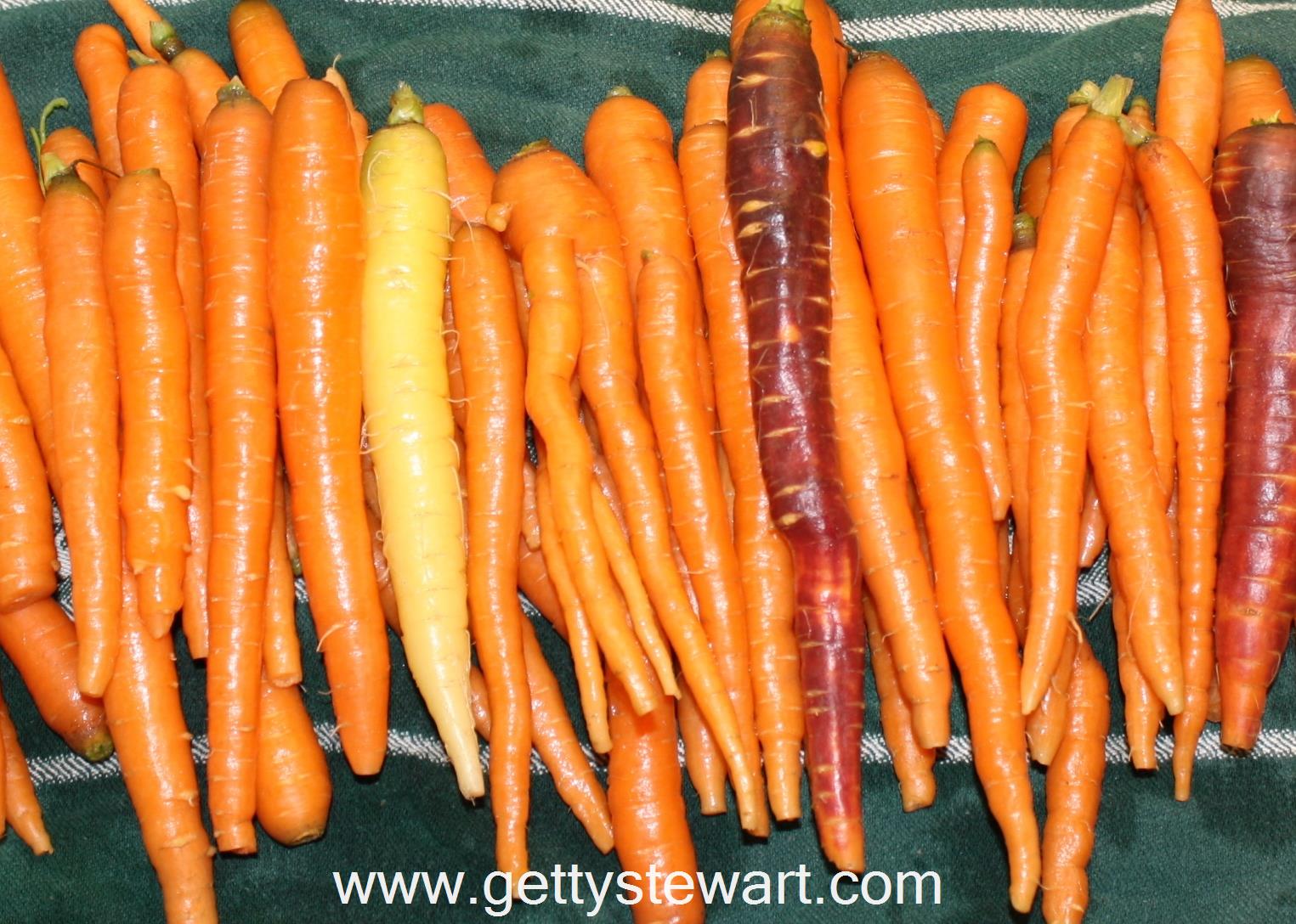 Remove green stems and wash carrots thoroughly. If thereâ€™s a lot of ...