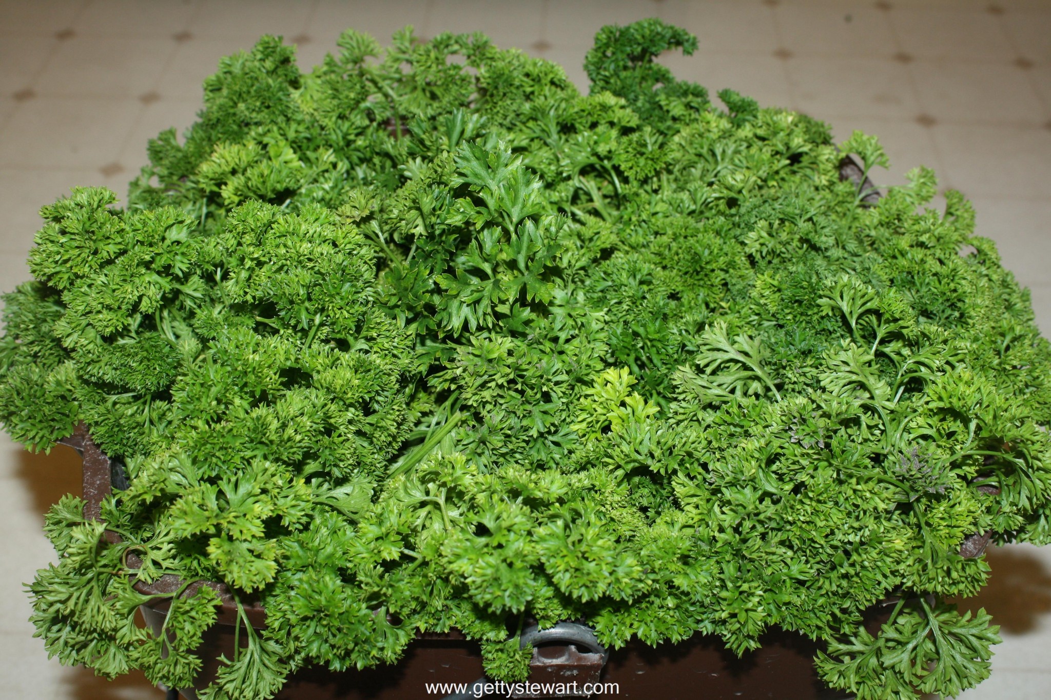 What are are some good uses for parsley?