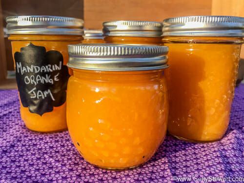 How to Make Mandarin Orange Jam