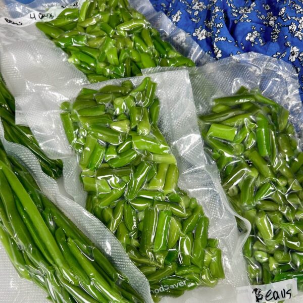 vacuum sealed bags of green beans