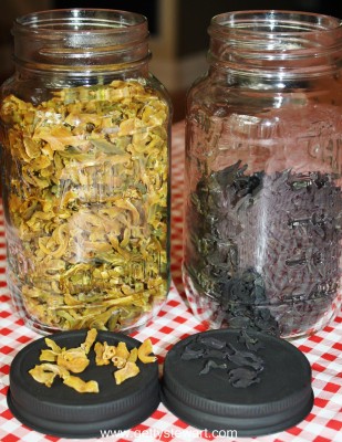 yellow and royal burgundy beans