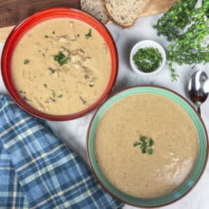 two bowls of creamy mushroom soup one with mushroom pieces one pureed smooth