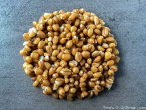 wheatberries cooked