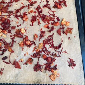dried borscht on tray