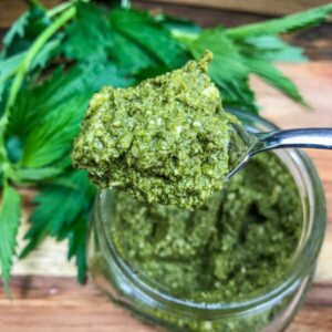 nettle pesto on spoon