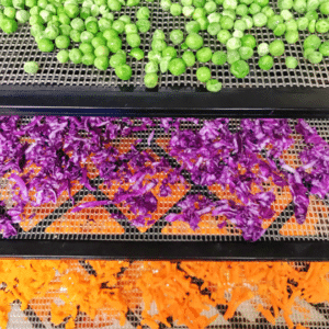 multiple foods in dehydrator