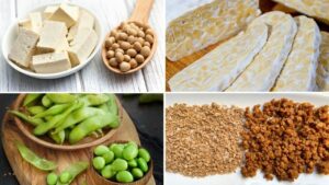 different soy foods