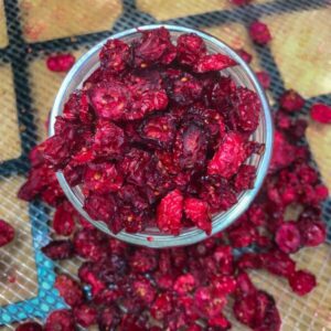 dried cranberries