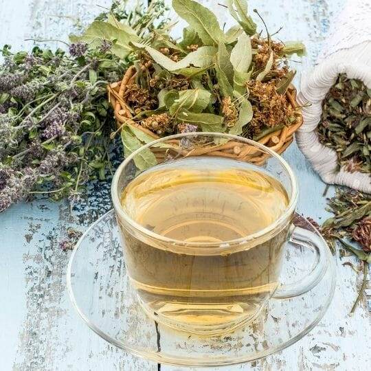How To Use Herbs For Tea Fresh Or Dried How To Use Herbs For Tea Fresh Or Dried