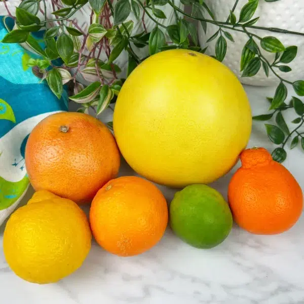 pomelo, grapefruit, oranges, lemon, lime on counter to show sizes