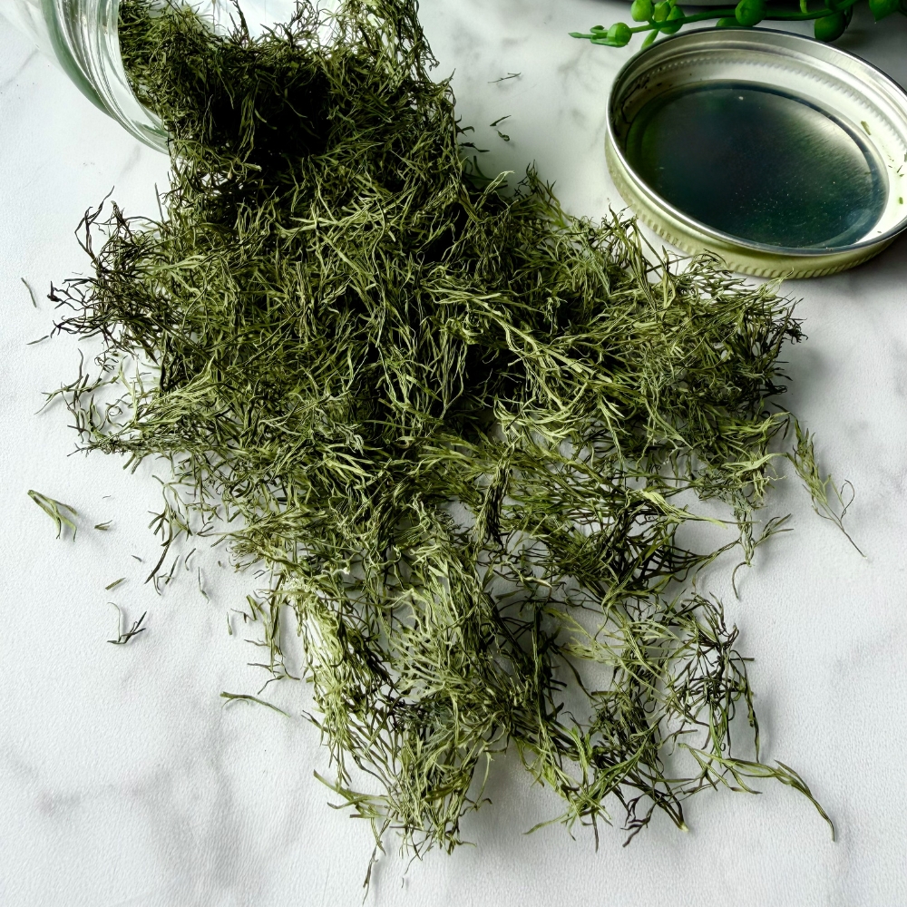 small dried dill fronds spilling out of jar on white table