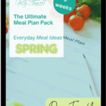 spring mp cover